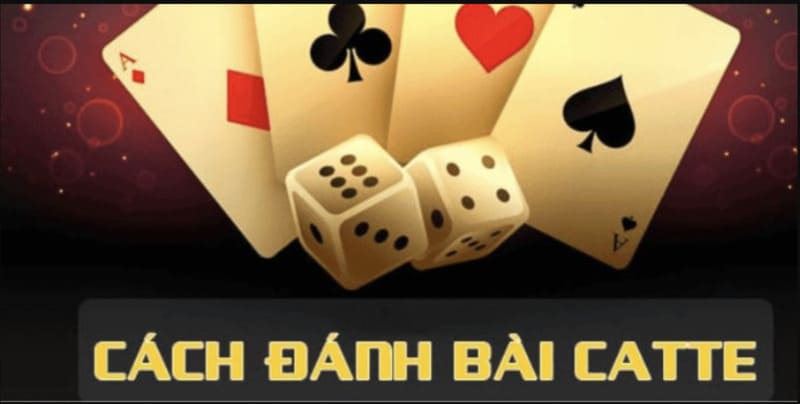 Luật chơi và quy trình một ván bài catte Sunwin chuẩn
