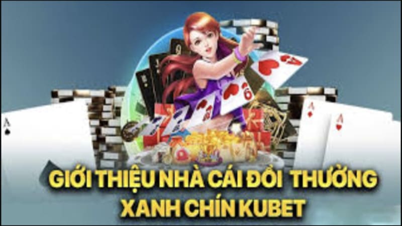 Lộ trình thực hiện chiến thuật cá cược cho người mới